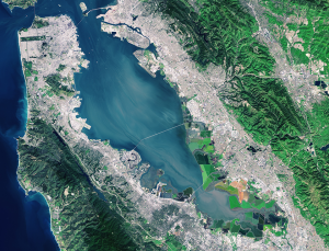 San Francisco USA, Pseudo-true colour image. Landsat 8 data courtesy USGS/NASA/ESA