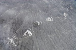 Yeti footprints