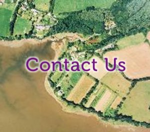 Contact-Us