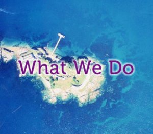 What-We-Do
