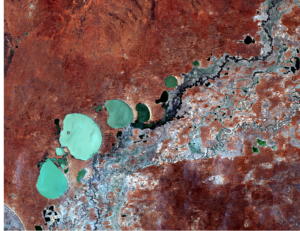 fish, satellite, Sentinel-2B
