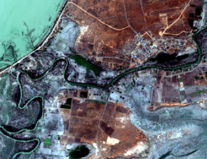 fish, satellite, Sentinel-2B