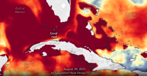 Ocean, Coral Reef, Heat stress, NASAEO, Oceans
