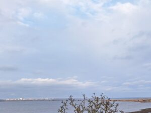 Sweden, blue carbon, eelgrass, Earth Observation