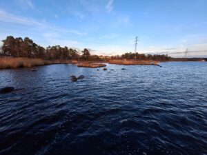 Sweden, blue carbon, eelgrass, Earth Observation